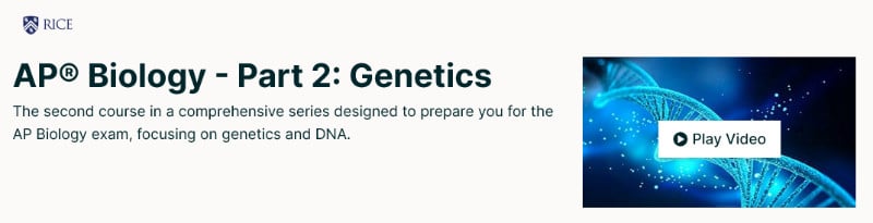 AP® Biology - Part 2: Genetics