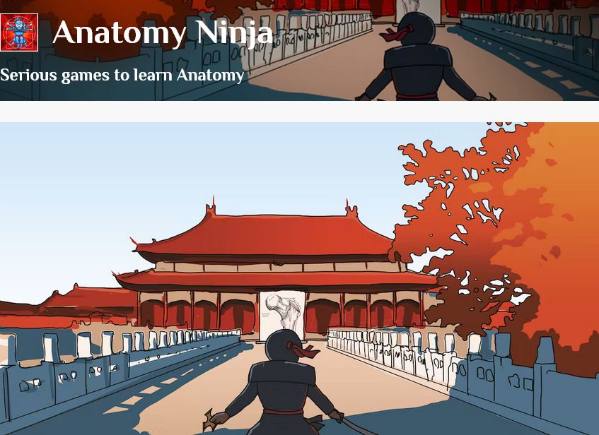 Anatomy Ninja