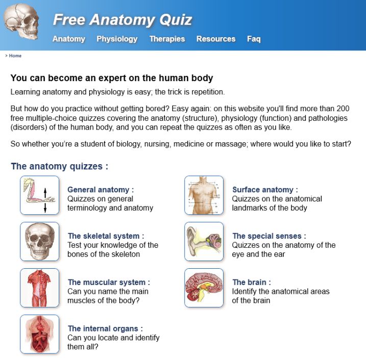 Free Anatomy Quiz