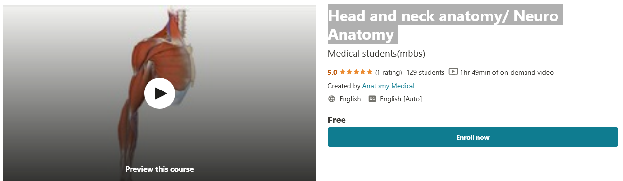 Head and neck anatomy Neuro Anatomy – Udemy