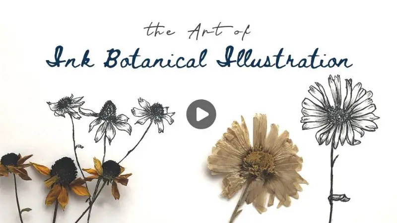 Line Drawing: The Art of Ink Botanical Illustration