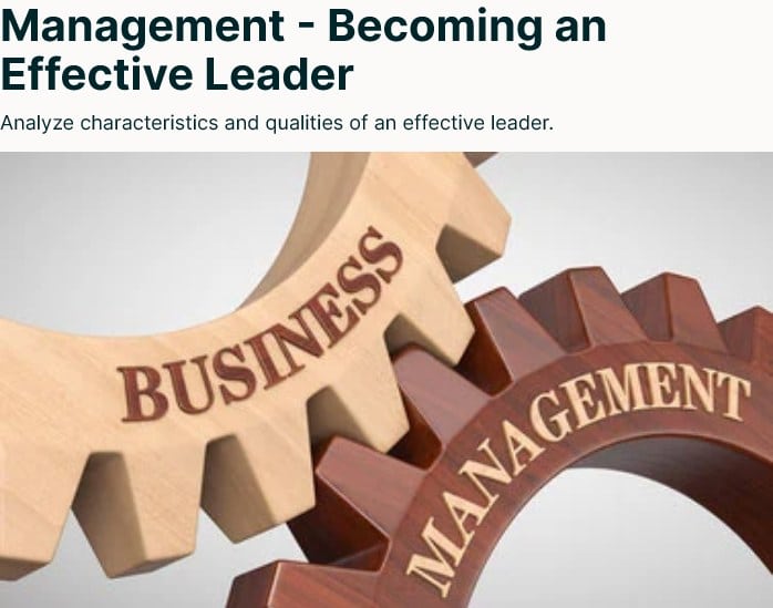 Management - Becoming an Effective Leader
