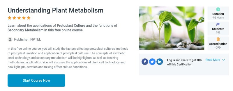 Understanding Plant Metabolism