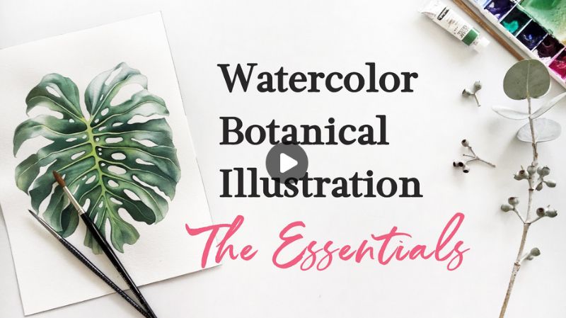 Watercolor Botanical Illustration The Essentials